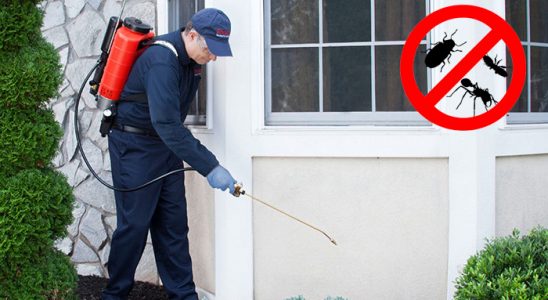 Gümüşova Böcek İlaçlama böcek ilaçlama ve haşere kontrolü — ilaclama-tr.com